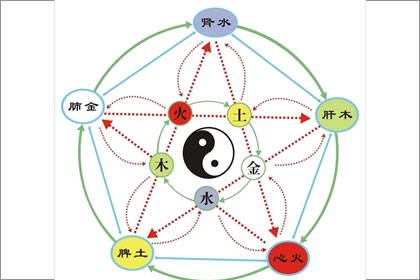 杨柳木命的人适合当官吗