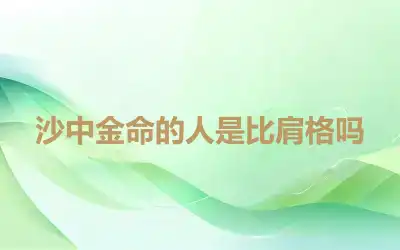 沙中金命的人是比肩格吗