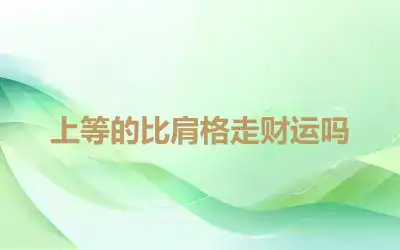 上等的比肩格走财运吗