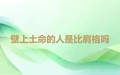 壁上土命的人是比肩格吗