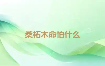 桑柘木命怕什么