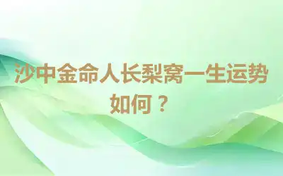 沙中金命人长梨窝一生运势如何？