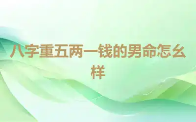 八字重五两一钱的男命怎幺样