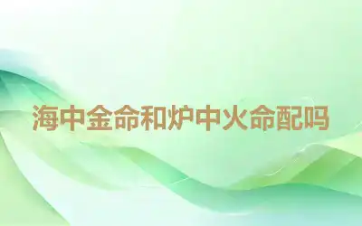 海中金命和炉中火命配吗