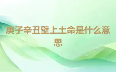 庚子辛丑壁上土命是什么意思