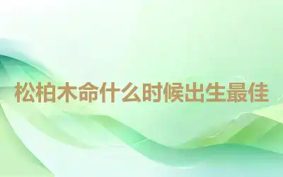 松柏木命什么时候出生最佳