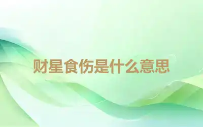 财星食伤是什么意思