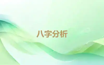 八字分析