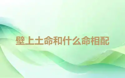 壁上土命和什么命相配