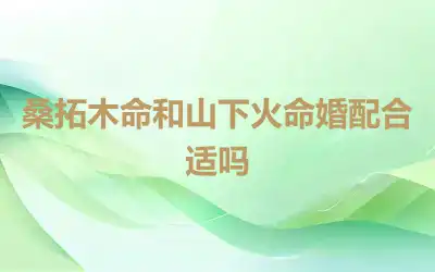 桑拓木命和山下火命婚配合适吗